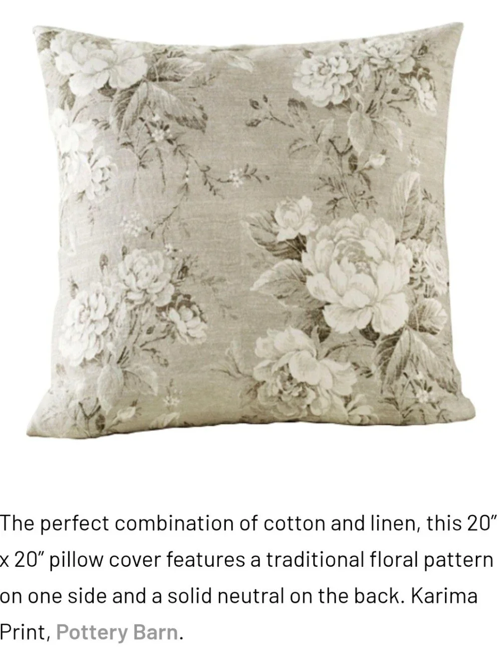 Pottery Barn (2) Karima Printed 20x20 Pillow Cover